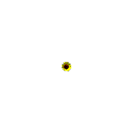 App-Icon